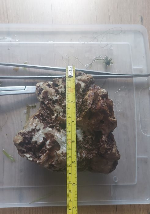 Piatra acvariu cumparata de la Coralis, necalcaroasa.