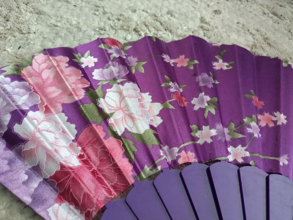 Ветрило от Виетнам