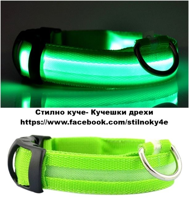 Светещ нашийник за куче-4-ри цвята Кучешки светещ нашийник