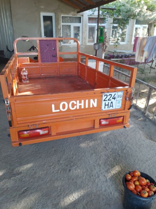 Lochin muravey rangi sabzirang