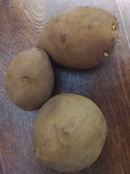 Продам картошку жоттую
