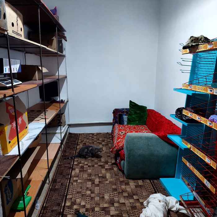 Сдаётся в аренду