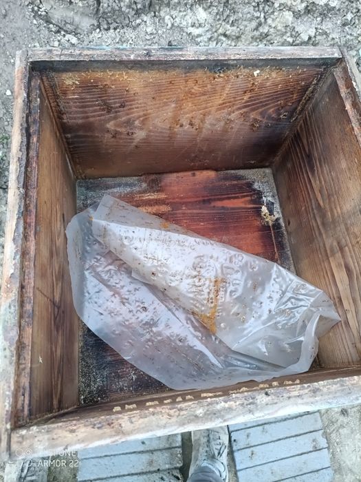 Stupi 12 rame albine