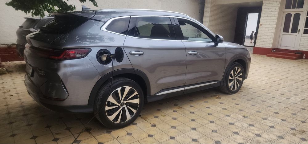 Byd Chimpion gibrid sotiladi 150 tali