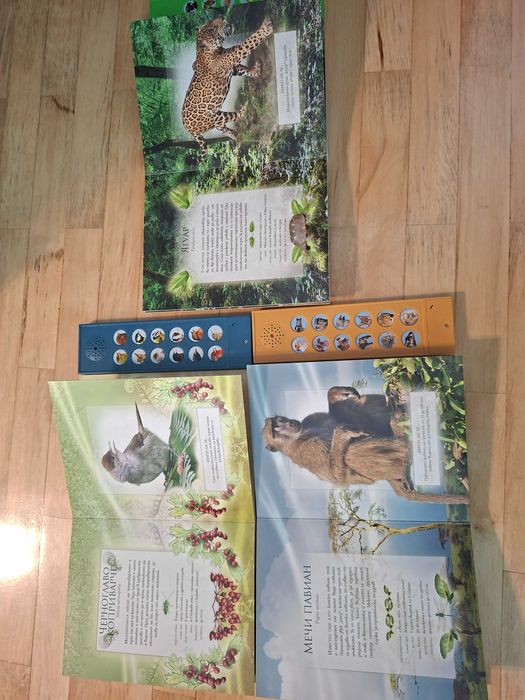 Детски интерактивни книжки със звъци на животни "малка книжка"