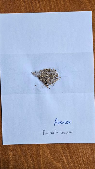 Хербарий ЛТУ - Фармакология