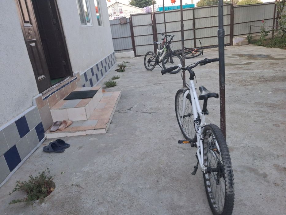 Bicicleta raivaloso