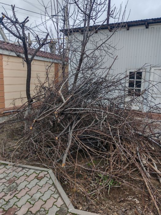 Отын бар, драва есть