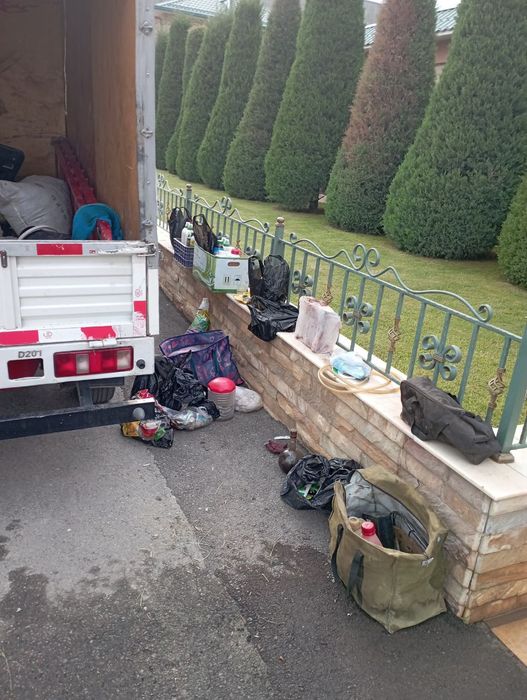 Lanshad dizayn abrezka mevali daraxtlar