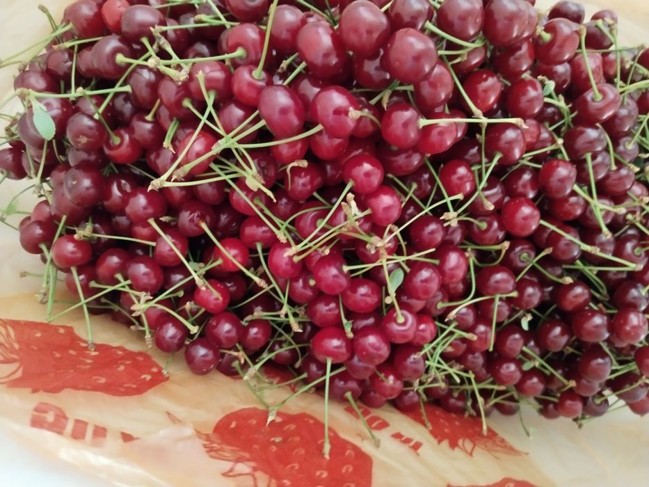 Продам частный дом в Кобде