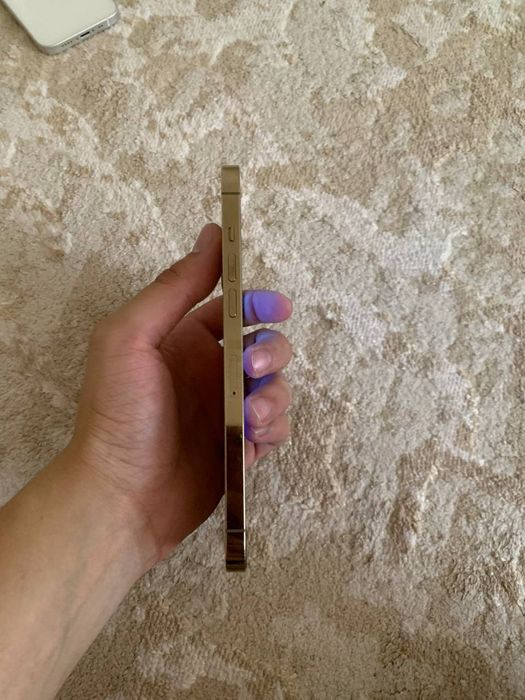 Iphone 12 Pro max 256Gb