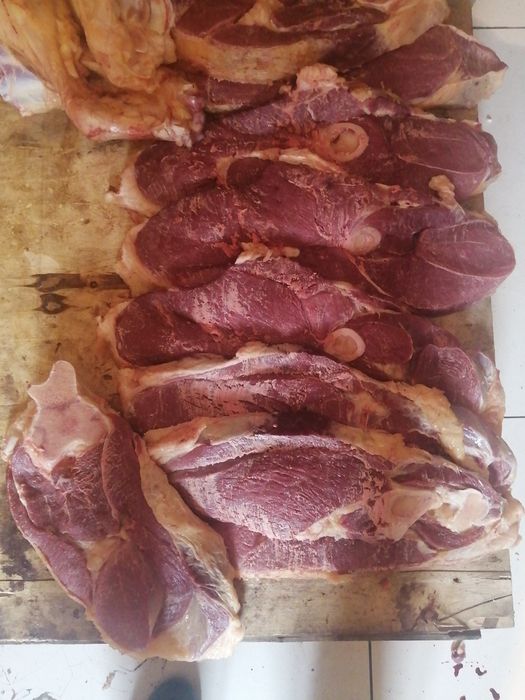 Мясо говядина молодняк