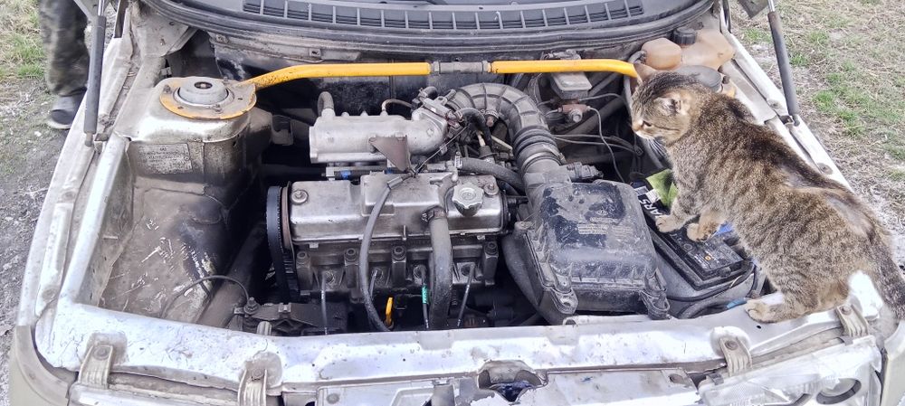 Продам стуканул движок целиком