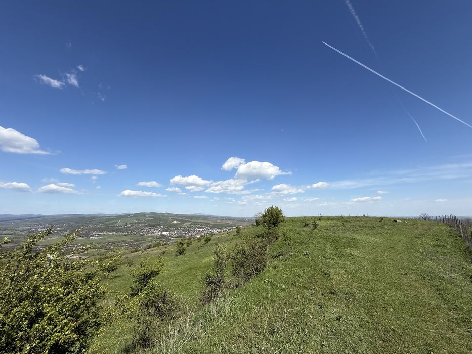 11,6 hectare de teren extravilan+intravilan, Urlati/Valea Calugareasca-Zona: releu/Valea Mieilor