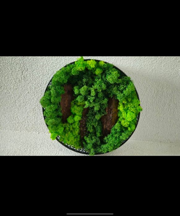 Картини със скандинавски мъх