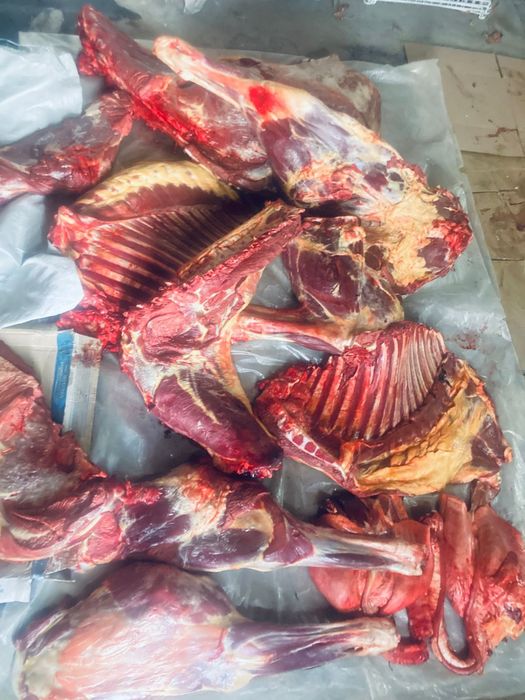 Жылқы еті сатылады