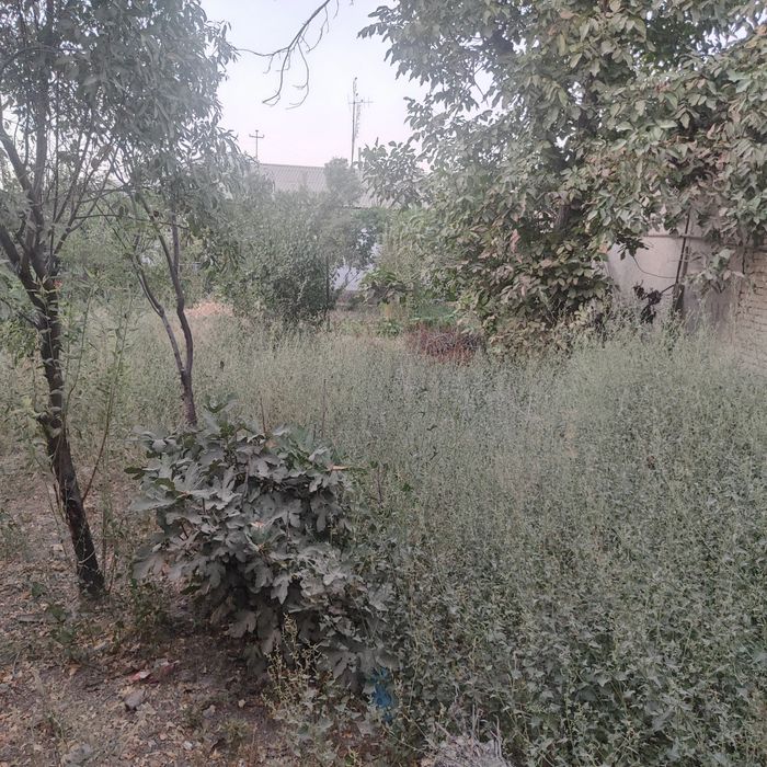 Ер сотилади 6 суток