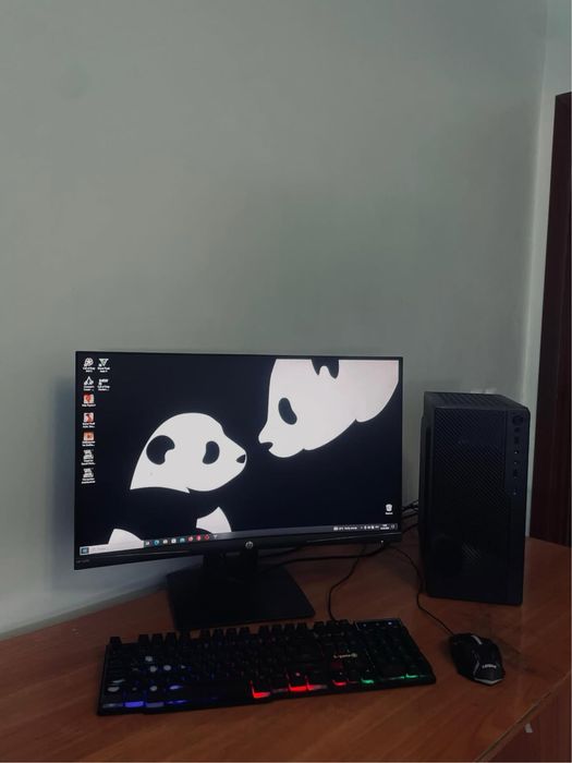 Системка + моник