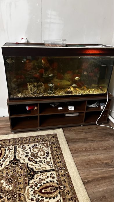 Большок Аквариум 240 литров