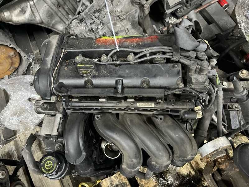 Двигатель Ford Focus 1.6 SHDA