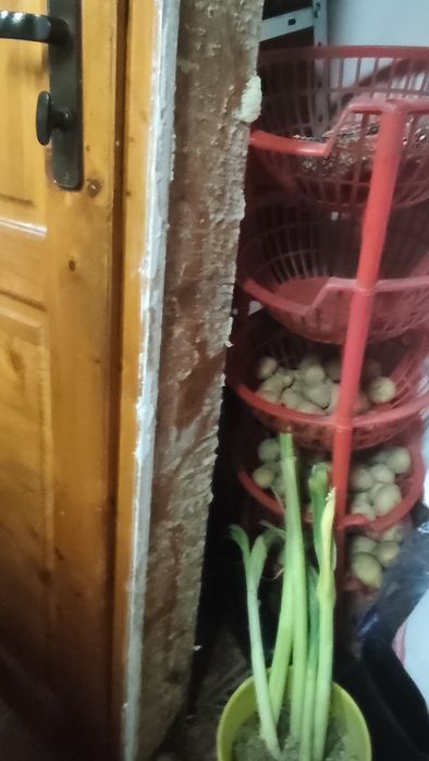 Масивна дървена врата.