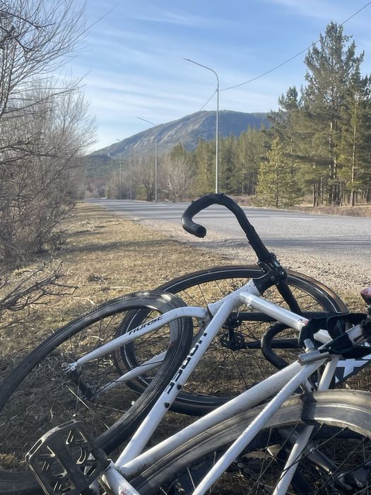 Фикс Horse White Омбен на Дерт