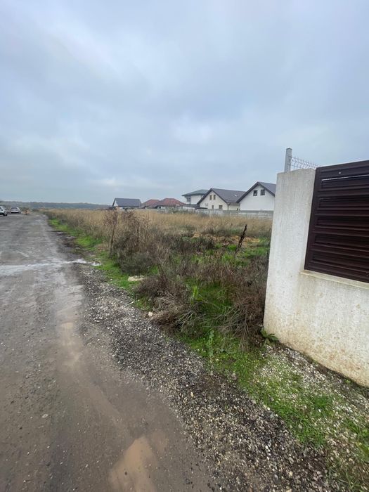 Teren de vanzare Pantelimon Strada Pasarea Colibri 394 mp