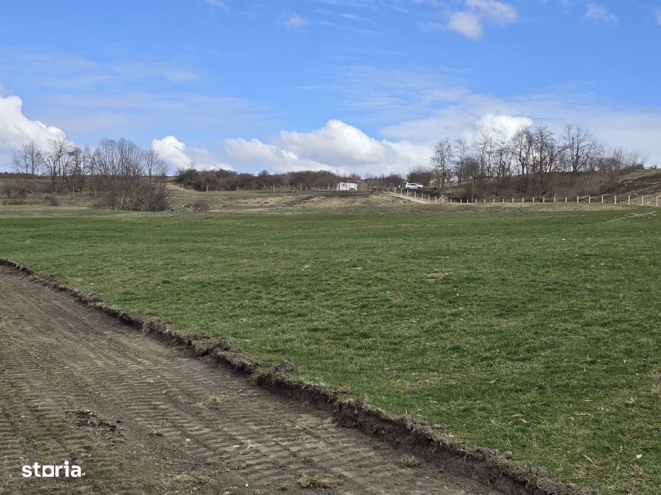 Teren Dealul Fanatelor