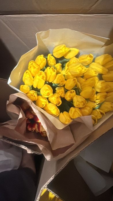 Цветы Тюльпаны!!