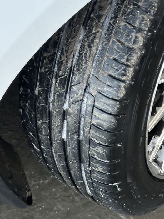 Vossen diska balon 17