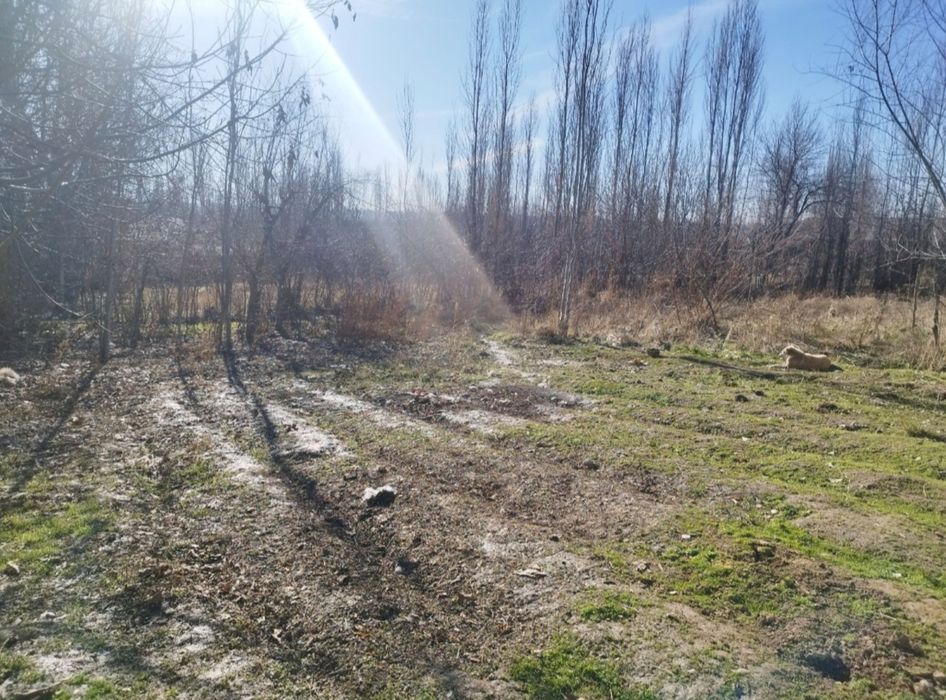 Yer sotiladi srochna