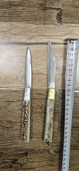 Bricege corn de cerb