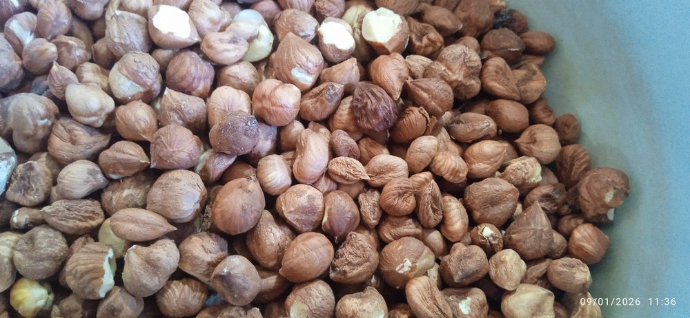 Продавам лешници  черупка и ядка .цена за ядка 20 лева а за черупка 10