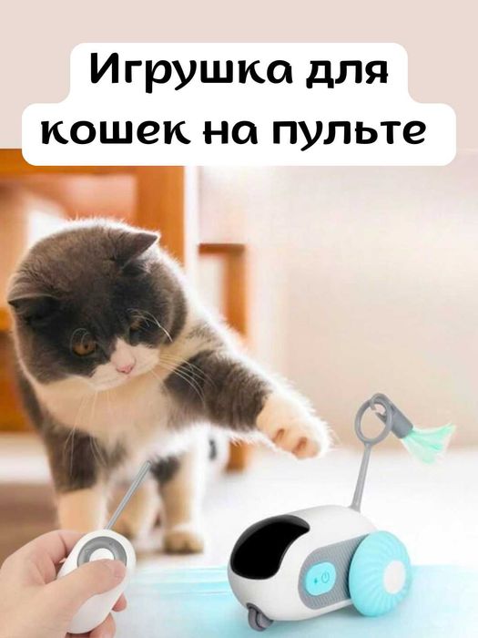 Интерактивная управляемая игрушка Car Toy для кошек с пультом dm24