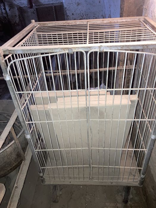 Клетки для Переполев …………………………………………………………………………………………………………………………..