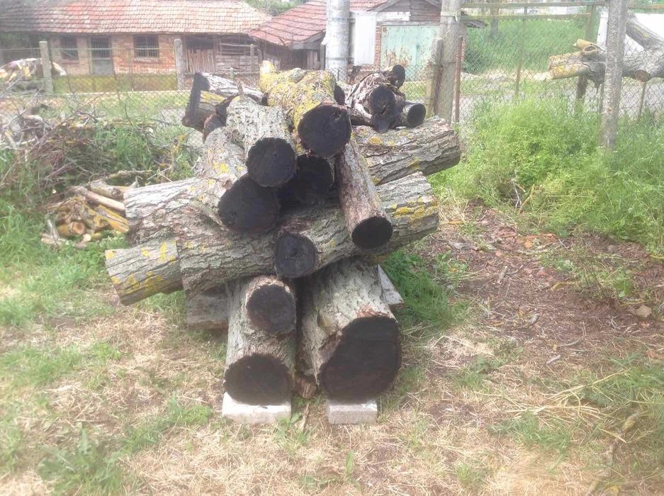 Дървен материал от орех на трупи