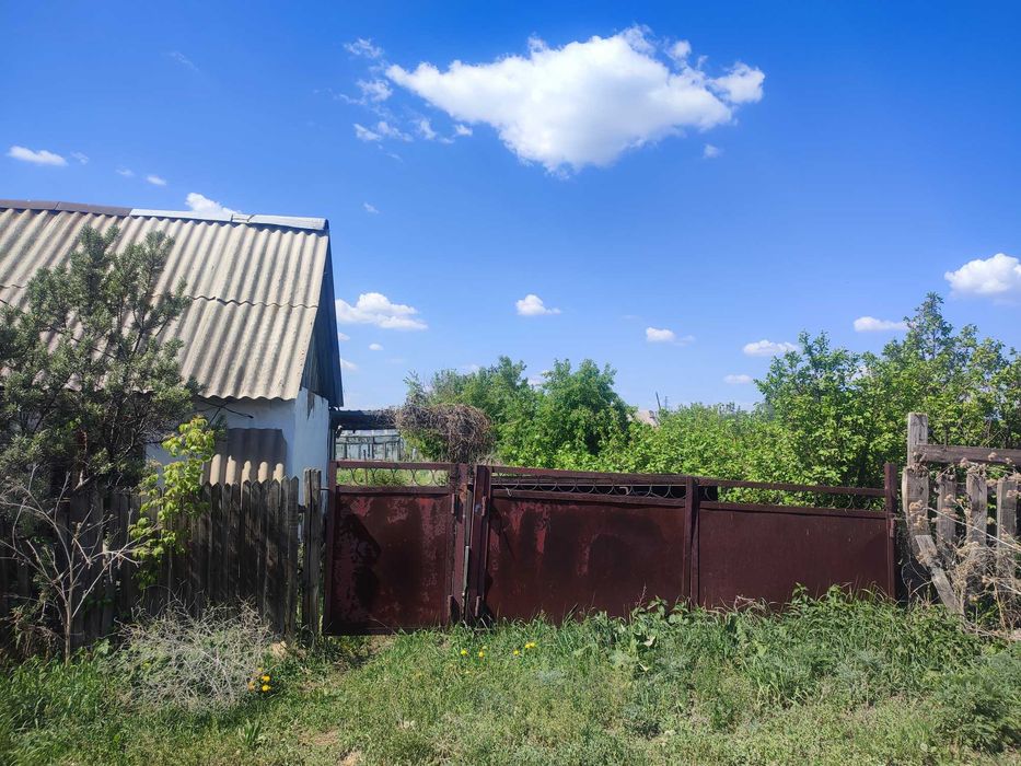 Продаю дачу Натуралист