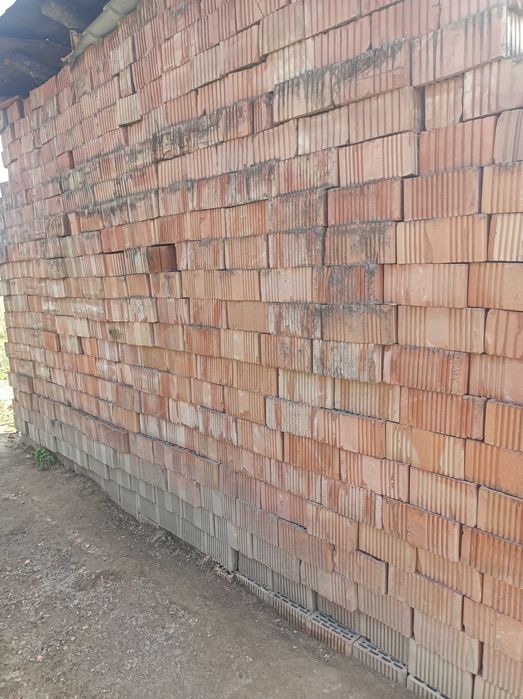 Caramida de vinzare in Tarna Mare