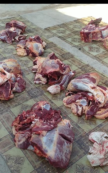 Әйелдердегі ісінген емізіктердің фотосуреттері