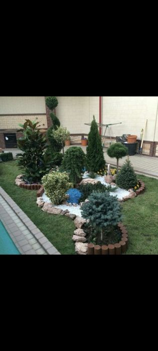 Газон афтоПалиф ландшафтный