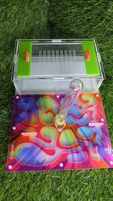 Муравьиная ферма АЛМАТЫ