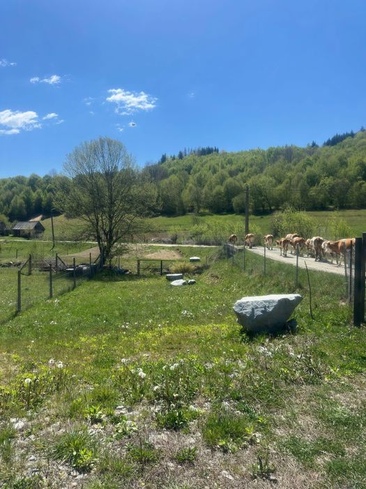 Mai mult decât o cabană - o stare de bine!