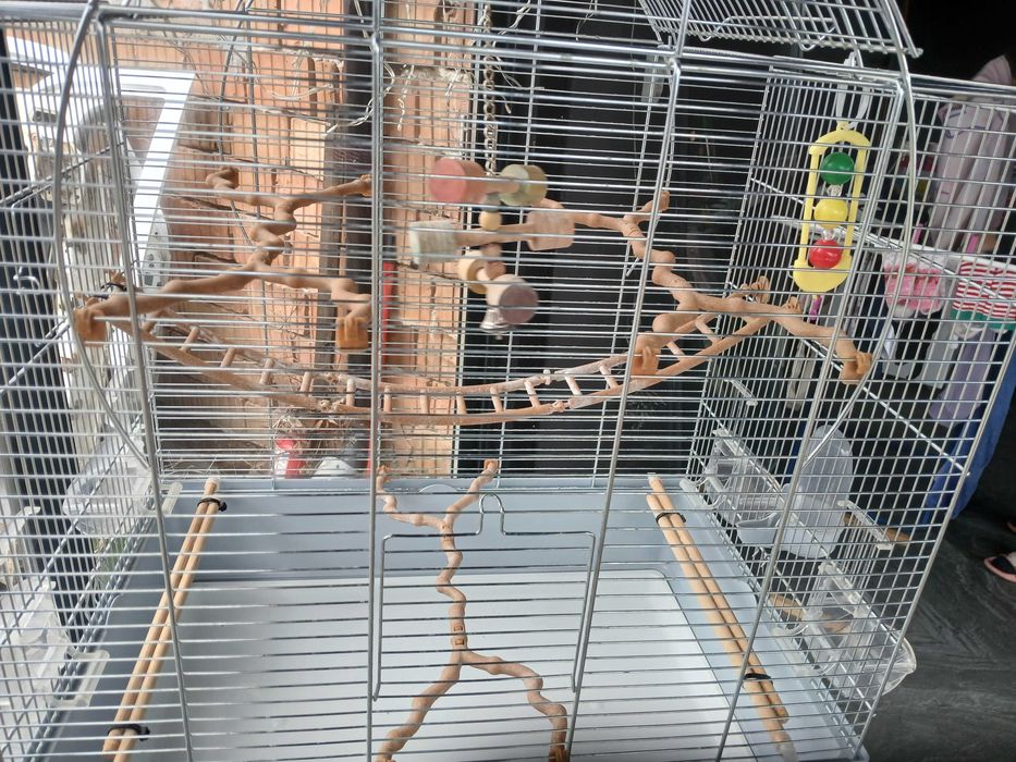 Colivie papagali cu accesori