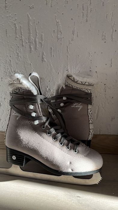 Коньки…………………………