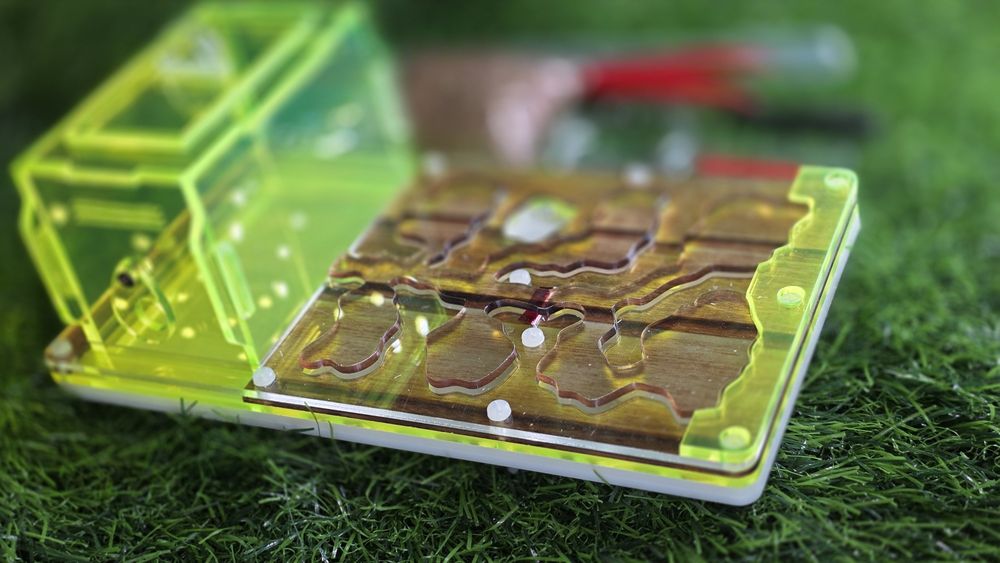 Муравьиная ферма! АЛМАТЫ