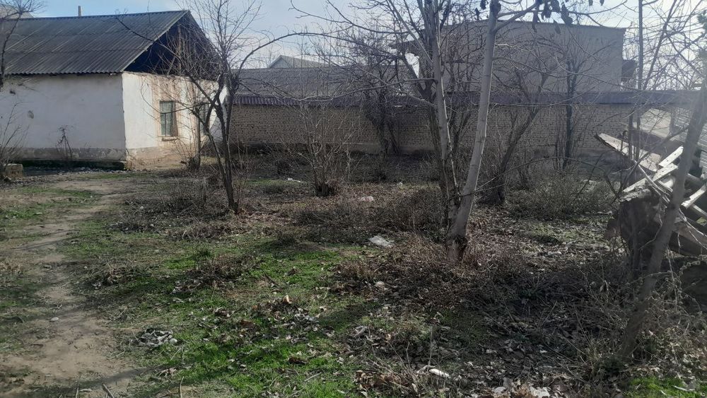 Surxondaryo viloyati Oltinsoy tumani chep MFY qadr qimmat koʻchasi