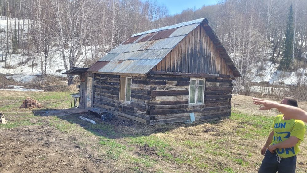 Продам пасеку  в лесу