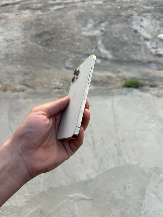 Iphone 12 pro max         .