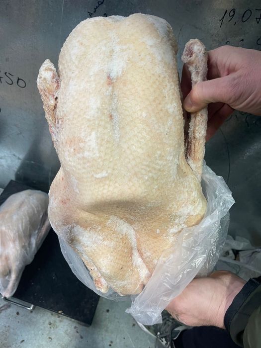 Продаю мясо гуся.