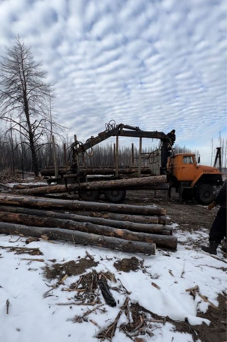 УРАЛ лесовоз-фишка (длинная база)